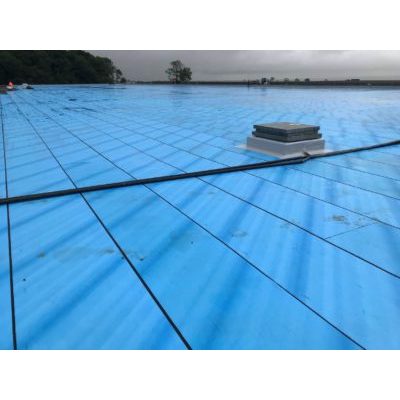Image for Premseal 100 Blue